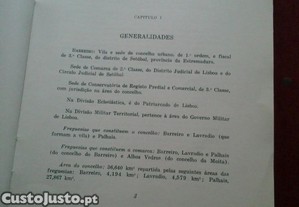 imagem_3