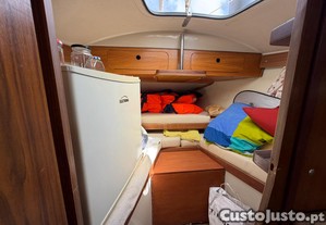 imagem_3