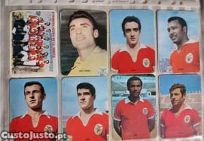 imagem_1