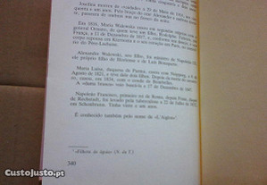 imagem_7