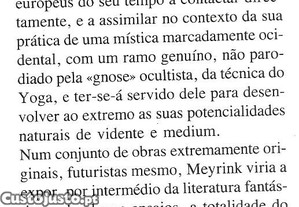 imagem_8