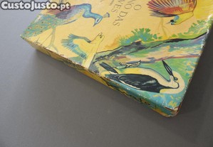 imagem_4