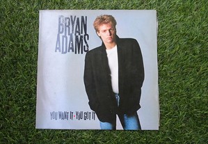 Disco vinil LP - Brian Adams - You Want It You Got