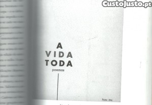 imagem_8