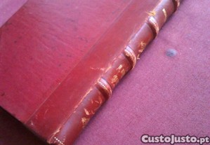 imagem_3