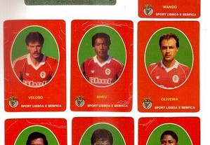 Coleção completa de 16 calendários sobre S. L. Benfica 1986