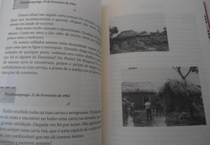 imagem_6