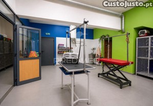 Espaço comercial na cancela caniço santa cruz