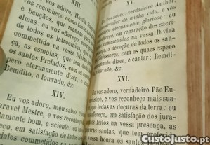 imagem_3