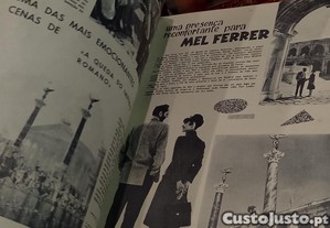 imagem_5