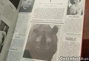 imagem_14
