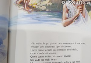 imagem_5