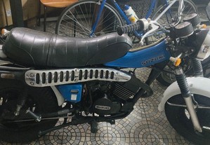 Suzuki RV 125