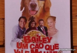 Filme Original - "Bailey, um cão que vale milhões"