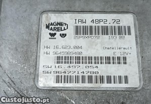 imagem_4
