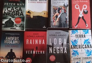 imagem_1