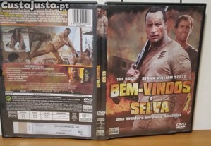 imagem_6