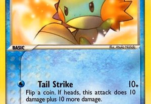 Pokemon Card - Mudkip 50 HP