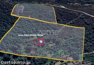 Quinta De ~3Ha Com Duas Moradias Para...