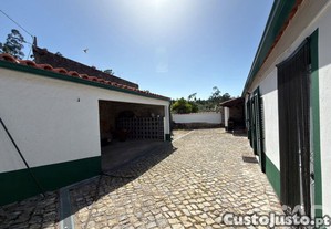imagem_11