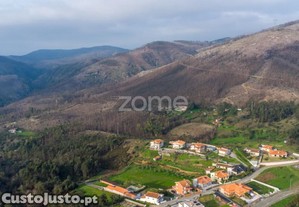Terreno Florestal Urbanizável Com 42.000 M2 -...