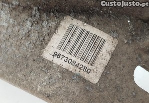 imagem_3