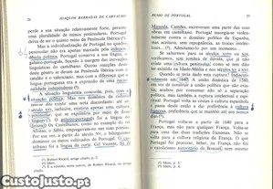 imagem_7