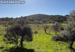 Terreno Agrícola em Odeleite