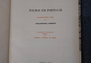 imagem_2