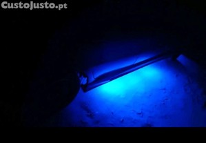 imagem_8