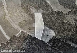 Terreno em angeja