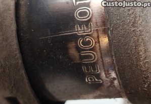 imagem_7
