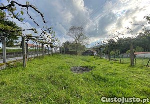 imagem_24
