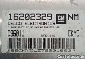 imagem_2
