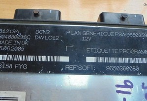 imagem_3
