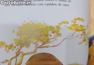 imagem_7