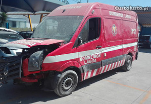 imagem_7