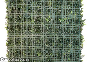 imagem_1