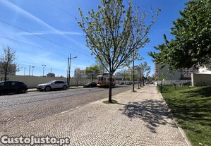 imagem_21