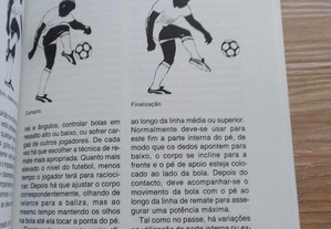 imagem_6