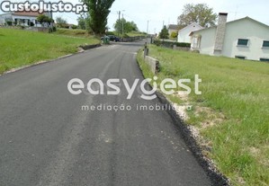 imagem_15
