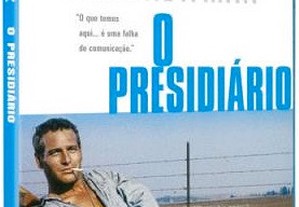 O Presidiário (Blu-ray 1967) Paul Newman IMDB 8.1