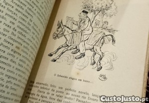 imagem_13