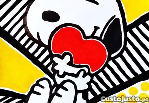 imagem_6