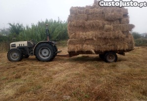 Fardos de palha de boa qualidade