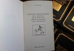 imagem_7