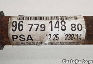 imagem_6