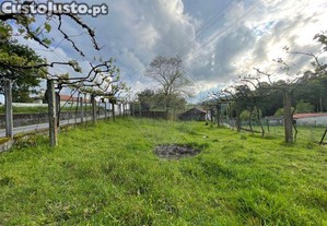imagem_13