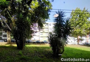 imagem_14