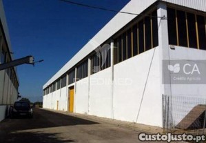 imagem_3
